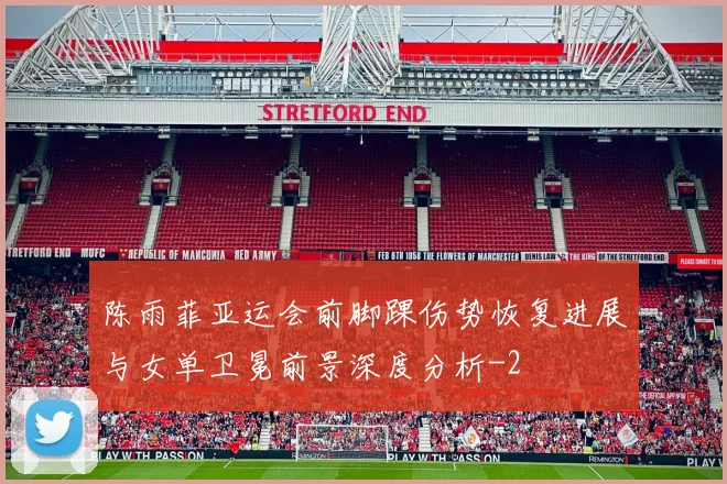 陈雨菲亚运会前脚踝伤势恢复进展与女单卫冕前景深度分析